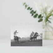 Ropingpaard Briefkaart (Staand voorkant)