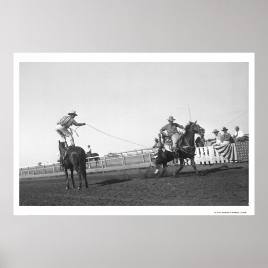 Ropingpaard Poster (Voorkant)