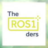 ROS1ders het Ontwerp van de het Venster van het Ko Raamsticker (Vel 3)