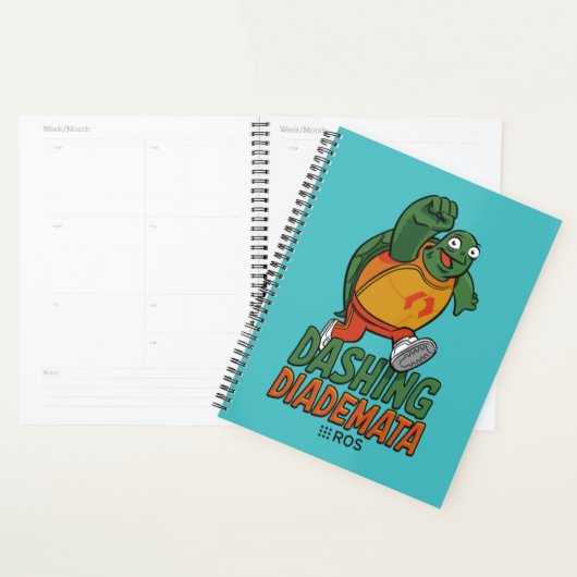 ROS 2 Dashing Diademata Planner (Display)