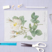 Rosa alba foliacea tissuepapier (Craft)