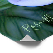 Rosa Blue Bajou [Archive Heavy Weight Paper] Poster (Hoek)