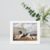 Rosa Bonheur #150 - Fijne Kunst Briefkaart (Staand voorkant)