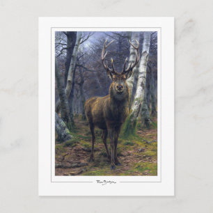Rosa Bonheur #5 - Fijne Kunst Briefkaart
