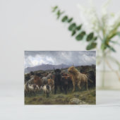 Rosa Bonheur Highland Raid Briefkaart (Staand voorkant)