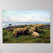 Rosa Bonheur Sheep van het Zee Poster (Voorkant)