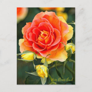 Rosa Brass Band [Briefkaart] Briefkaart