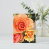 Rosa Brass Band : Carte postale (Debout devant)