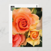 Rosa Brass Band : Carte postale (Devant / Derrière)