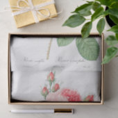 Rosa centifolia tissuepapier (Geschenk)