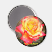 Rosa Charleston : aimant rond (Recto/Verso)