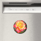 Rosa Charleston : aimant rond (In Situ (Lave-vaisselle))