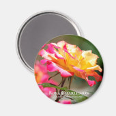 Rosa Charleston Magneet (Voorkant / Achterkant)