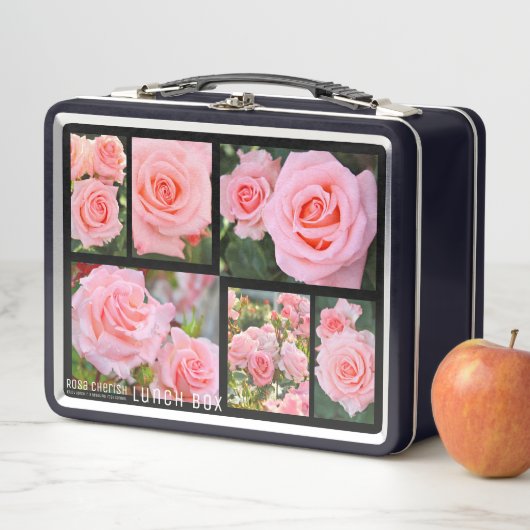 Rosa Cherish (In situ)