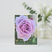 Rosa Climbing Blue Moon Briefkaart (Staand voorkant)