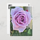 Rosa Climbing Blue Moon Briefkaart (Voorkant / Achterkant)