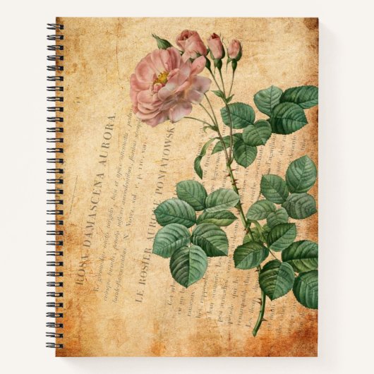Rosa Damascena Aurora Notitieboek (Voorkant)