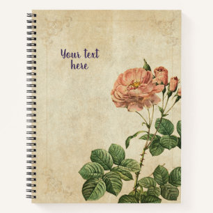 Rosa Damascena Aurora Notitieboek