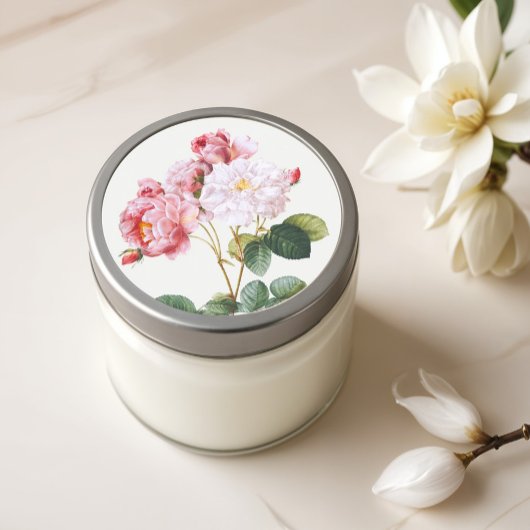 Rosa Damascena,  bloemen Ronde Sticker