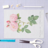 Rosa damascena Italica Tissuepapier (Craft)
