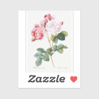 Rosa Damascena Sticker