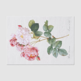 Rosa Damascena Tissuepapier