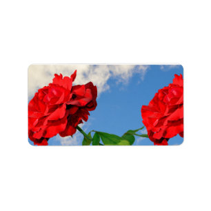 Rosa Don Juan met een blauwe lucht Etiket