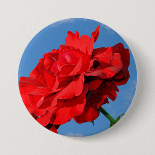 Rosa Don Juan roos met een blauwe lucht Ronde Button 7,6 Cm
