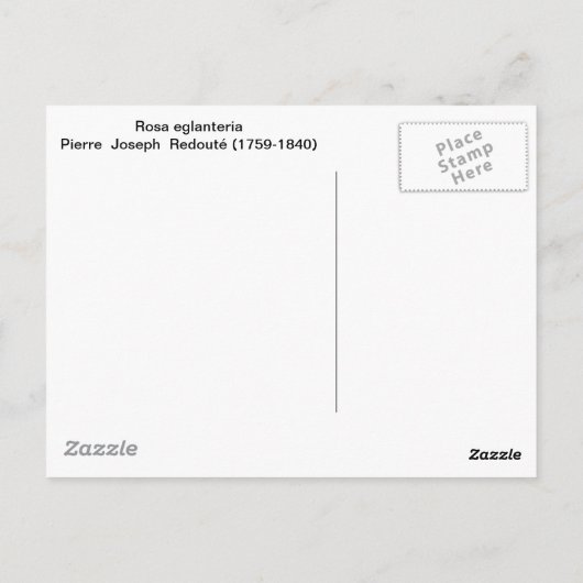 Rosa Eglanteria, P. J. Redoute, wilde gele rozen Briefkaart (Achterkant)