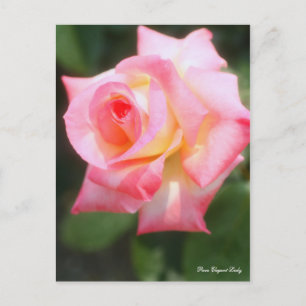 Rosa Elegant Lady (Briefkaart) Briefkaart
