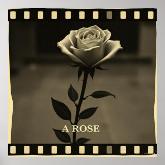 Rosa en blanco y negro estilo cine antiguo vintage poster