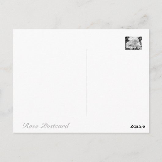 Rosa Escalade Iceberg : Carte postale (Dos)
