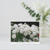 Rosa Fabulous! Briefkaart (Staand voorkant)