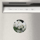 Rosa Fabulous! Magneet (Insitu (Vaatwasser))