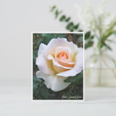 Rosa French Lace Briefkaart (Staand voorkant)