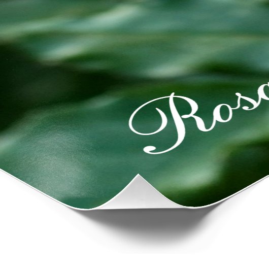 Rosa Friesia：Perfect Poster (Coin)