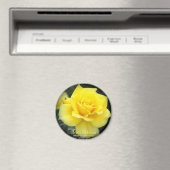 Rosa Friesia:Round Magnet (In Situ (Lave-vaisselle))