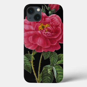 Rosa Gallica iPhone 13 Hoesje