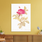 Rosa Gallica Pontiana uit 'Les Rozen' Canvas Afdruk (Insitu (Woonkamer))