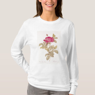Rosa Gallica Pontiana uit 'Les Rozen' T-shirt