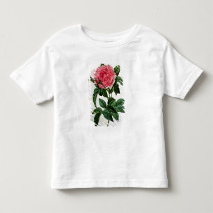 Rosa Gallica Regallis Kinder Shirts