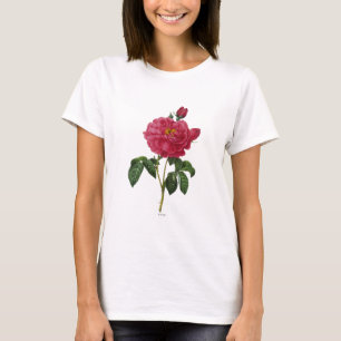 Rosa Gallica T-shirt