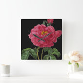 Rosa Gallica Vierkante Klok (Huis)