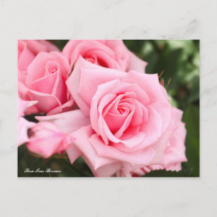 Rosa Gene Boerner (Briefkaart) Briefkaart