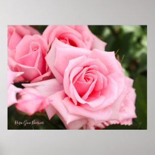 Rosa Gene Boerner [Papier affiche de valeur]