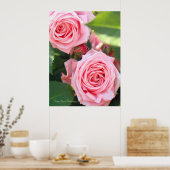 Rosa Gene Boerner [Papier affiche de valeur] (Cuisine)