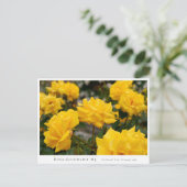 Rosa Goldmarie '84 Briefkaart (Staand voorkant)