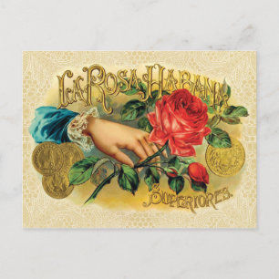 Rosa Habana Cigar Label Briefkaart