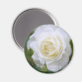 Rosa Iceberg:Round Magnet (Recto/Verso)