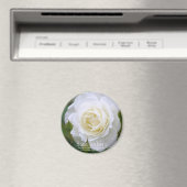 Rosa Iceberg:Round Magnet (In Situ (Lave-vaisselle))
